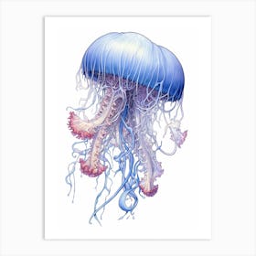 Portuguese Man Of War Jellyfish 1 Art Print