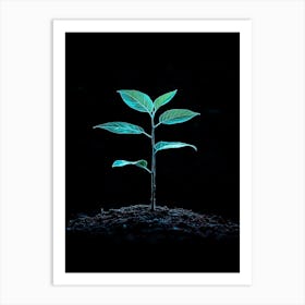 Plant Growing In The Dark 12 Art Print