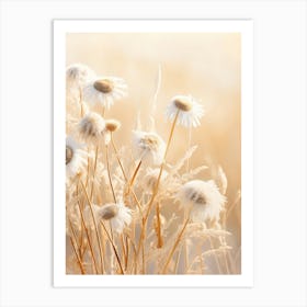 Boho Dried Flowers Oxeye Daisy 1 Art Print