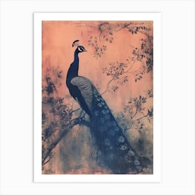 Pink & Blye Peacock In A Tree Cyanotype Inspired 2 Art Print