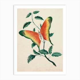 Vintage Butterfly On A Leaf Art Print