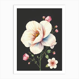 Pink And White Flowers Art Print