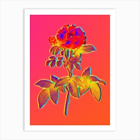 Neon Provins Rose Botanical in Hot Pink and Electric Blue n.0158 Art Print