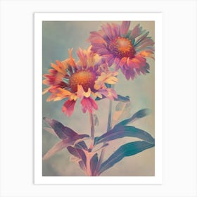 Iridescent Flower Gaillardia 2 Art Print