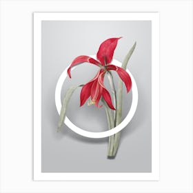 Vintage Amaryllis Minimalist Floral Geometric Circle on Soft Gray n.0274 Art Print