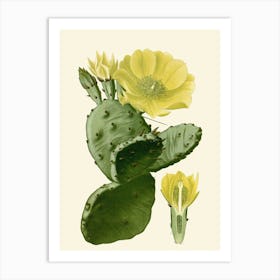 Cactus Print 1 Art Print