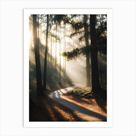 Sunrise In The Forest 2 Art Print