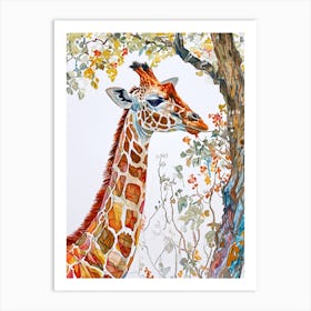 Giraffe In The Tree Branches 1 Art Print