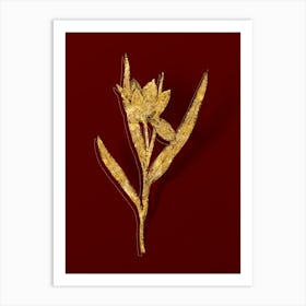 Vintage Tulipa Oculus Colis Botanical in Gold on Red n.0009 Art Print