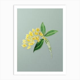 Vintage Dense Flowered Dendrobium Botanical Art on Mint Green n.0276 Art Print