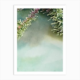 Acropora Papillare Storybook Watercolour Art Print