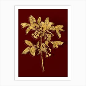 Vintage Honeyberry Flower Botanical in Gold on Red n.0133 Art Print