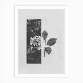 Hydrangea Flower Photo Collage 2 Art Print