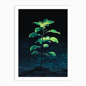 Tree In The Dark 8 Art Print