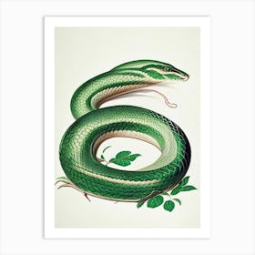 Cuban Green Snake Vintage Art Print