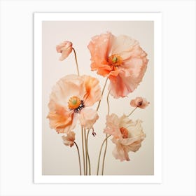Pressed Wildflower Botanical Art Poppies 1 Art Print