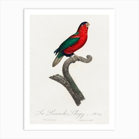 The Phigy Parrot, Psittacus Phigy From Natural History Of Parrots, Francois Levaillant Art Print