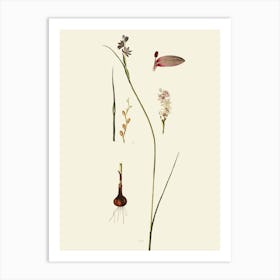 Wildflowers 3 Art Print