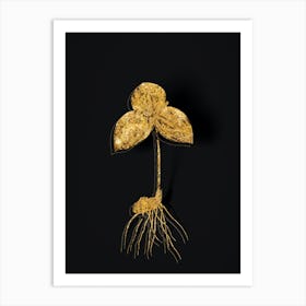 Vintage Tri Flower Botanical in Gold on Black n.0193 Art Print