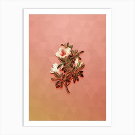 Vintage Variegated Chinese Azalea Botanical Art on Peach Pink n.0787 Art Print