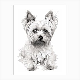 Yorkshire Terrier Dog, Line Drawing 4 Art Print