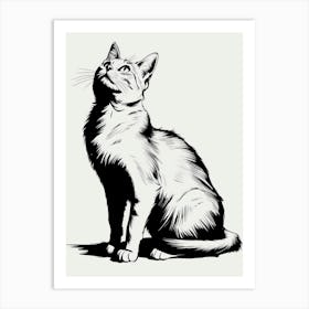 Cat Drawing 3 Art Print