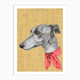 Greyhound With Scarf Art Print