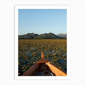 Water Lilly Heaven, Albania Art Print