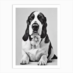 Basset Hound B&W Pencil Dog Art Print