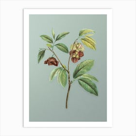 Vintage Papaw Tree Branch Botanical Art on Mint Green n.0892 Art Print