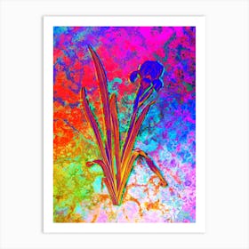 Crimean Iris Botanical in Acid Neon Pink Green and Blue n.0099 Art Print