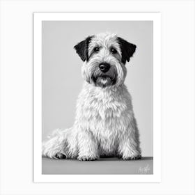 Soft Coated Wheaten Terrier B&W Pencil Dog Art Print