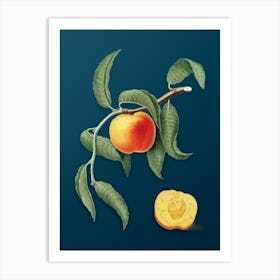 Vintage Peach Botanical Art on Teal Blue n.0041 Art Print