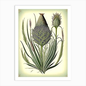 Psyllium Herb Vintage Botanical Art Print