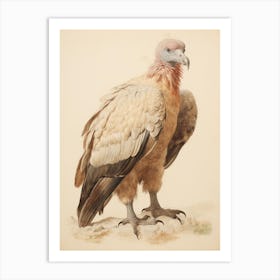 Vintage Bird Drawing Vulture 3 Art Print