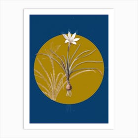 Vintage Botanical Rain Lily on Circle Yellow on Blue Art Print