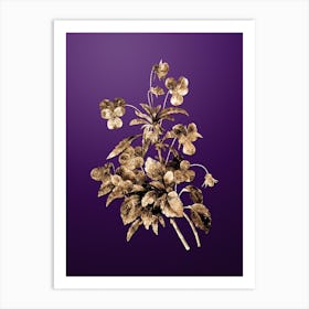 Gold Botanical Johnny Jump Up on Royal Purple n.4735 Art Print