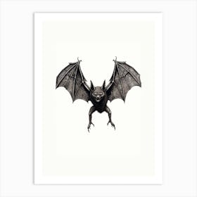 Serotine Bat Vintage Illustration 3 Art Print