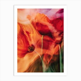 Poppies Art Print