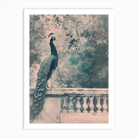 Vintage Cyanotype Inspired Of A Peacock On The Balcony Art Print