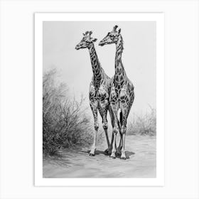 Two Giraffe Together Pencil Drawing 2 Art Print