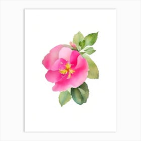 California Wild Rose Wildflower Watercolour Art Print