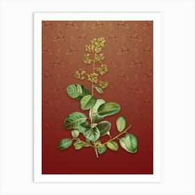 Vintage European Smoketree Botanical on Falu Red Pattern n.1165 Art Print