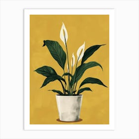 Peace Lily 2 Art Print