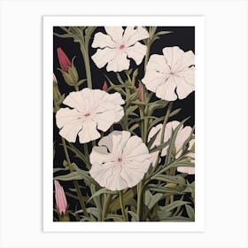 Flower Illustration Phlox 2 Art Print