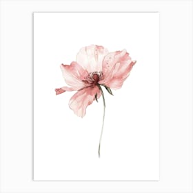 Pink Poppy Watercolor Painting Art Print