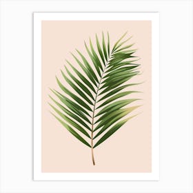 Palm Leaf 7 Art Print