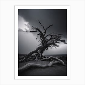 Lone Tree Art Print