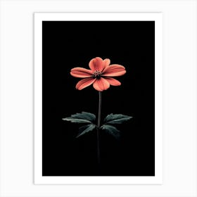 Flower On A Black Background 8 Art Print