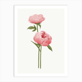 Pink Peony Flower Illustration Art Print